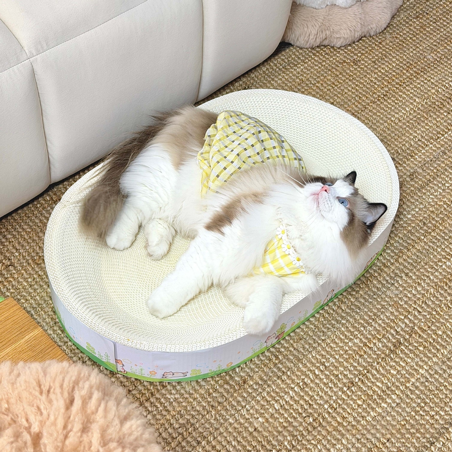 Rascador y cama de cartón para gatos | Raíz · White · 50x35x9cm